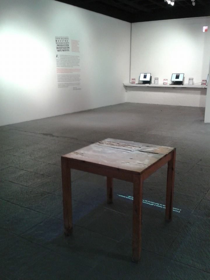 Pet installation view in the gallery