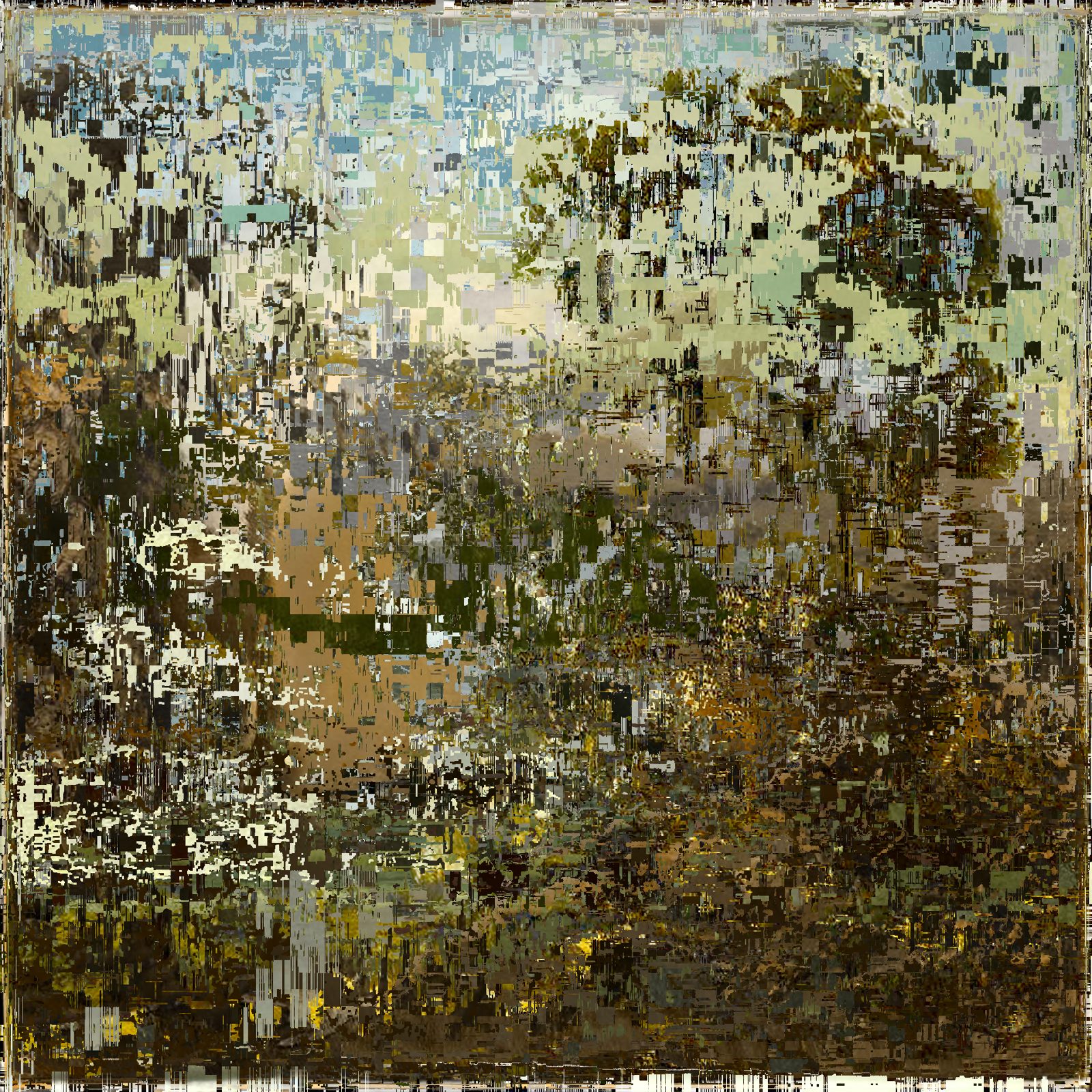 Landscape rebuilt from relocated pixels